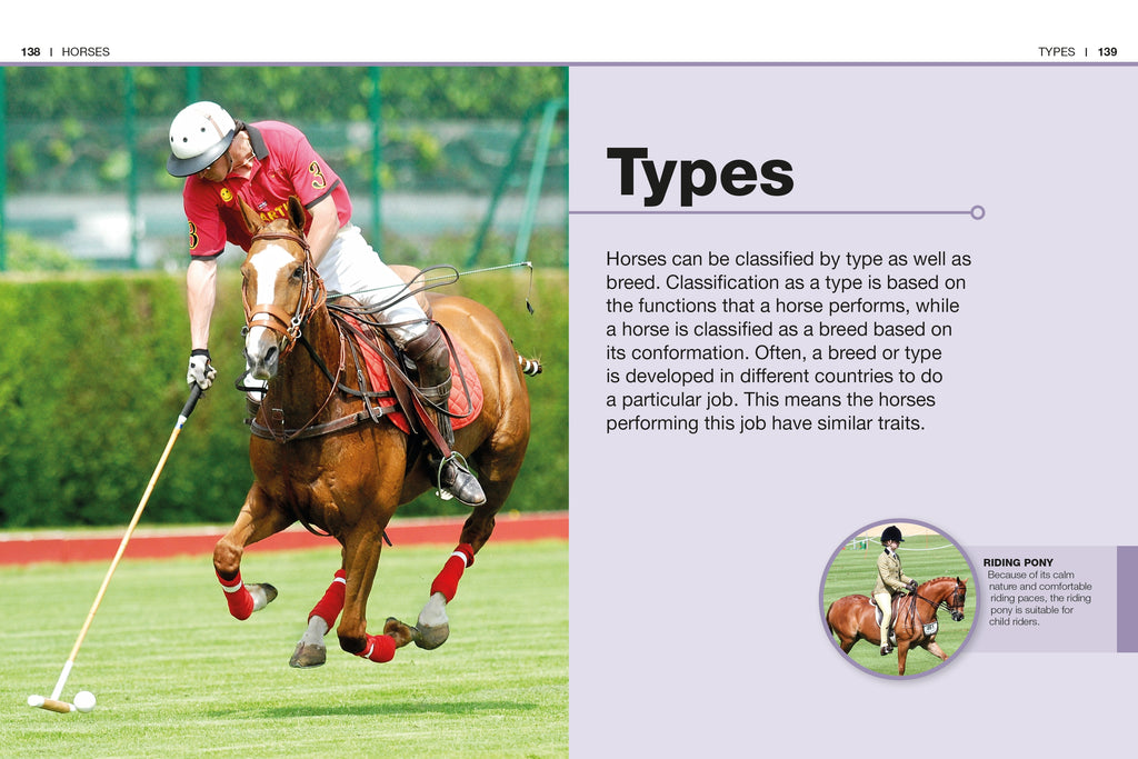 Pocket Genius Horses