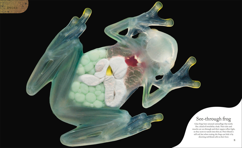 Weird and Wonderful Nature