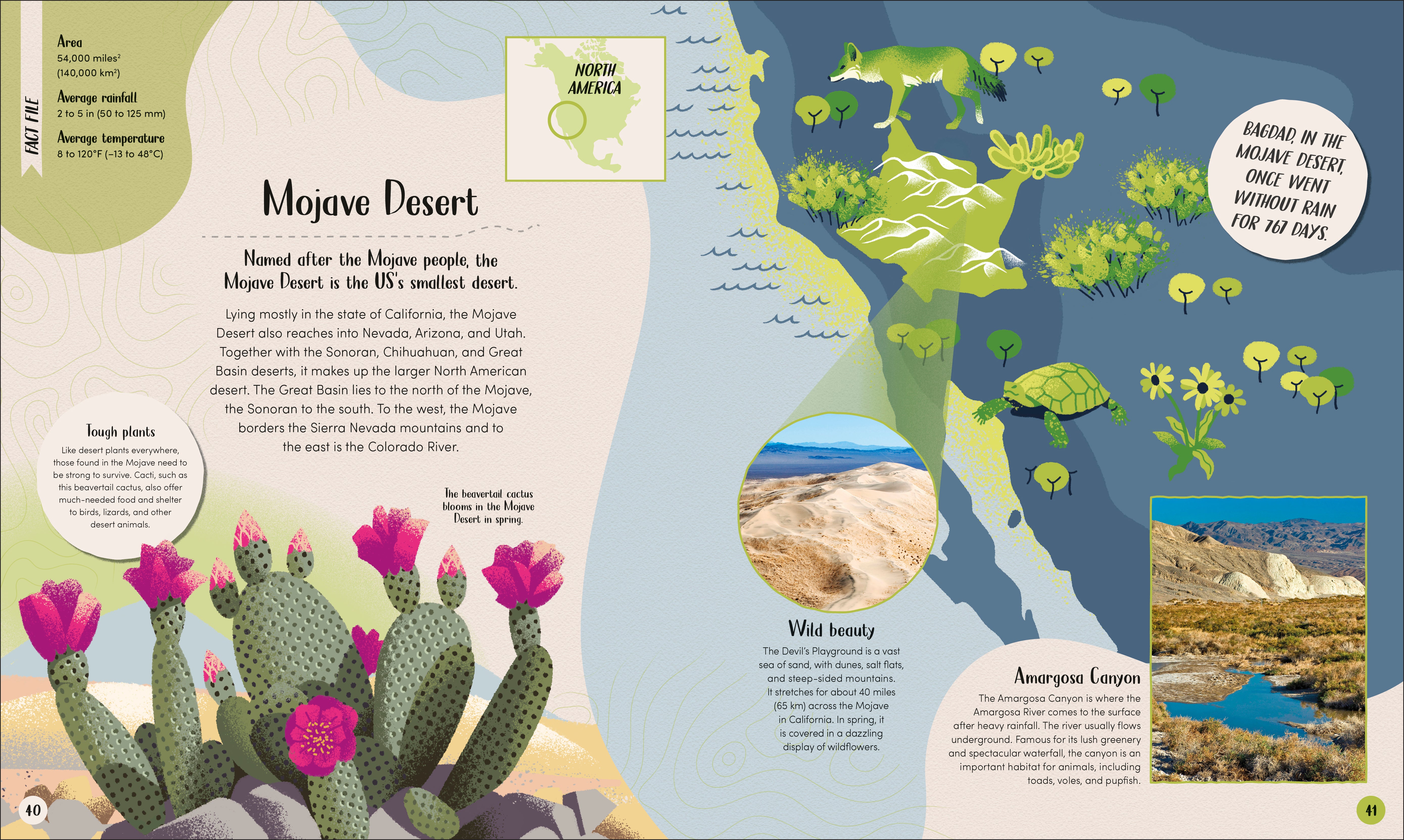 Desert – DK