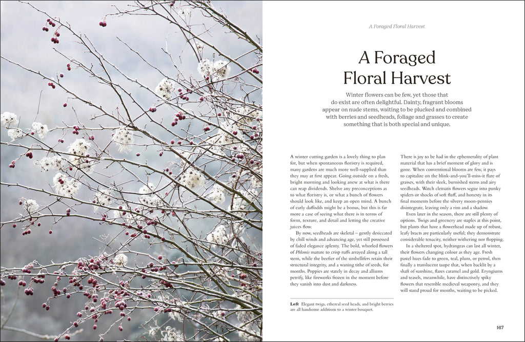 RHS The Winter Garden