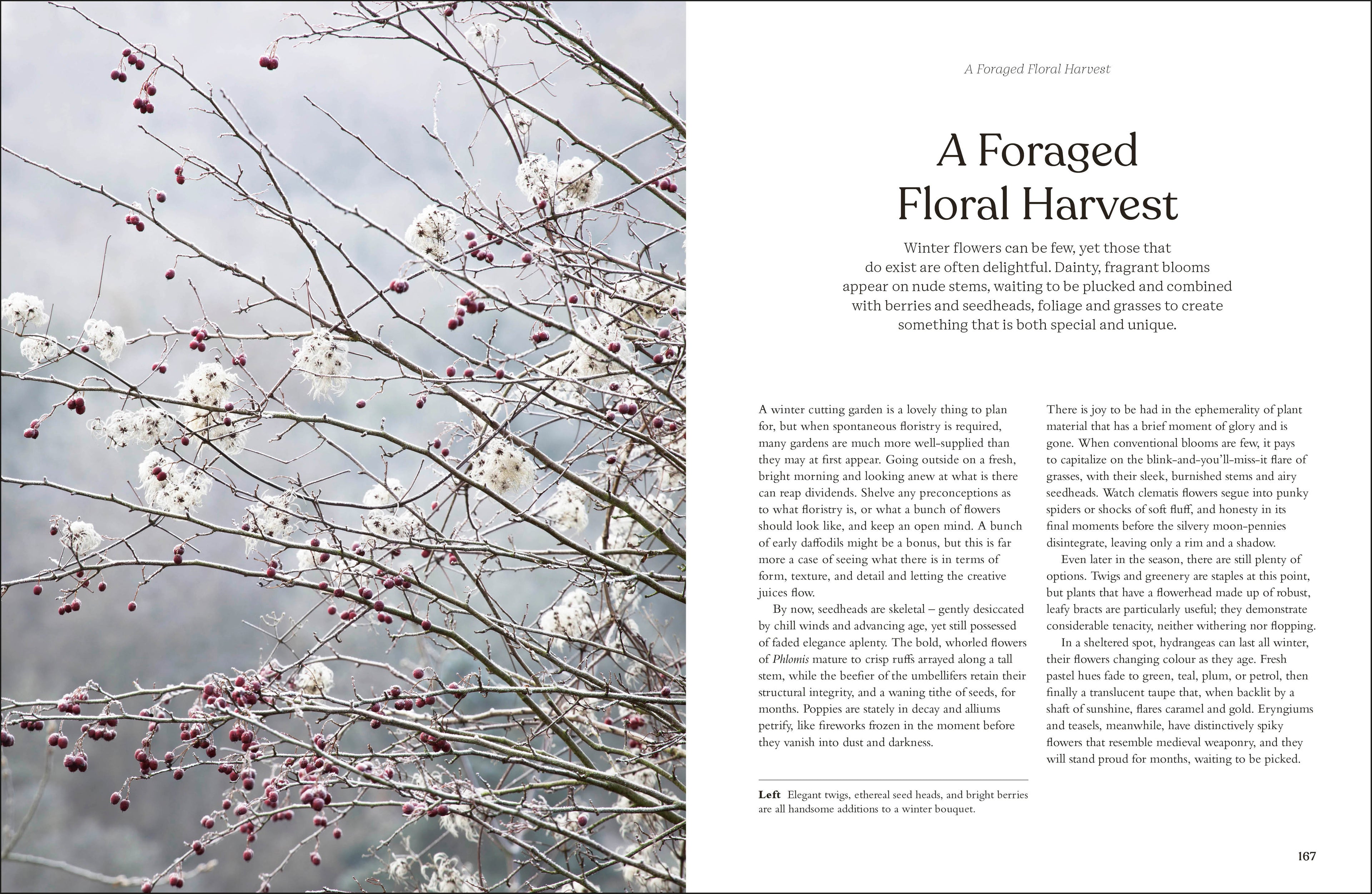 RHS The Winter Garden