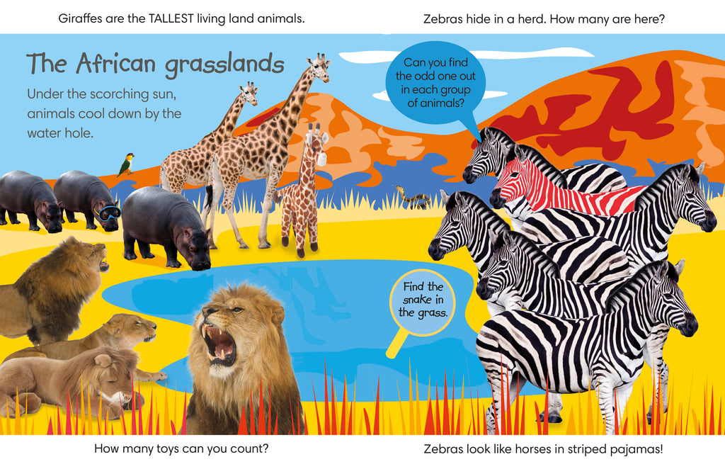 Spot the Difference Animals