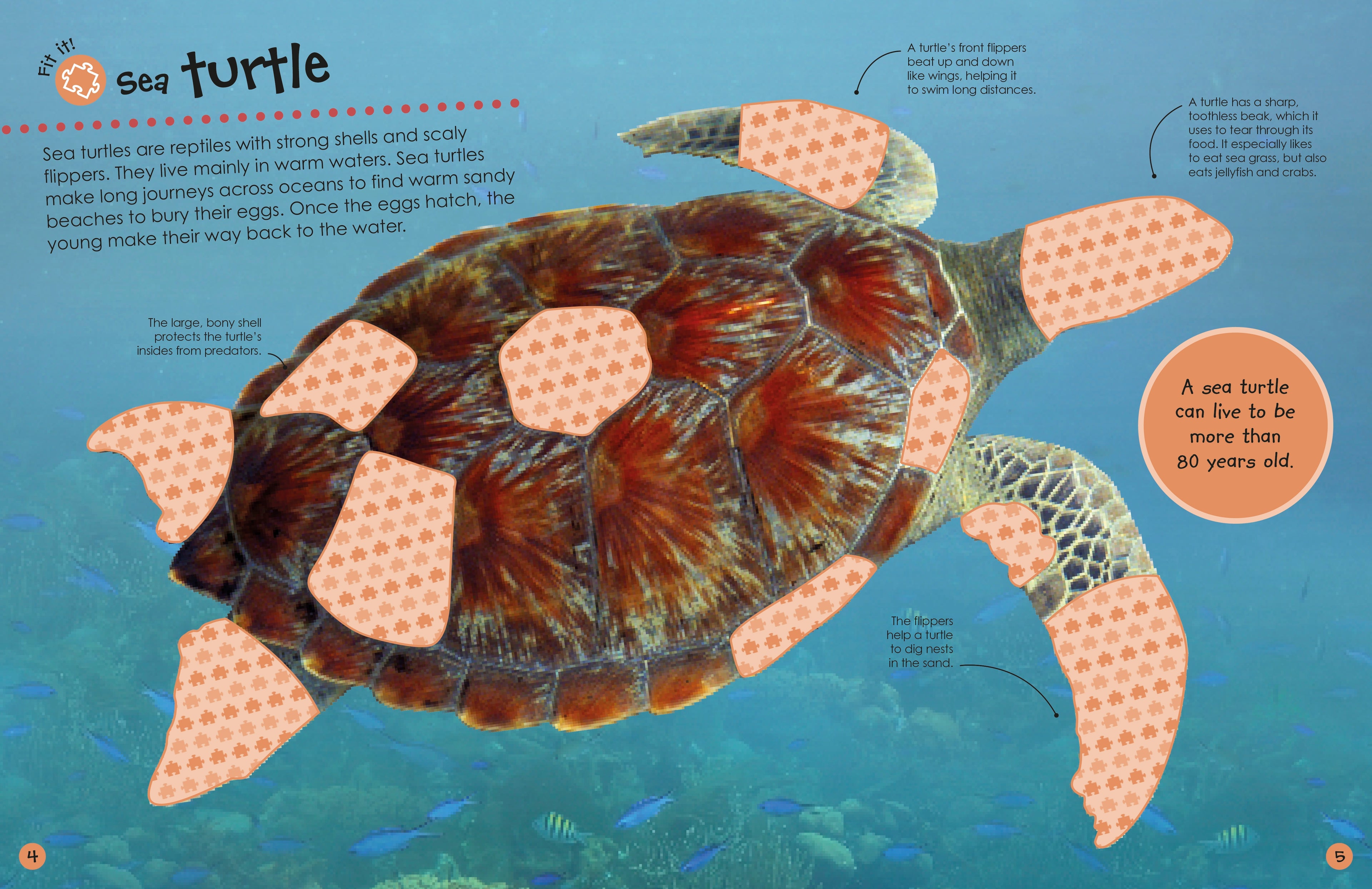 Ultimate Sticker Book: Ocean