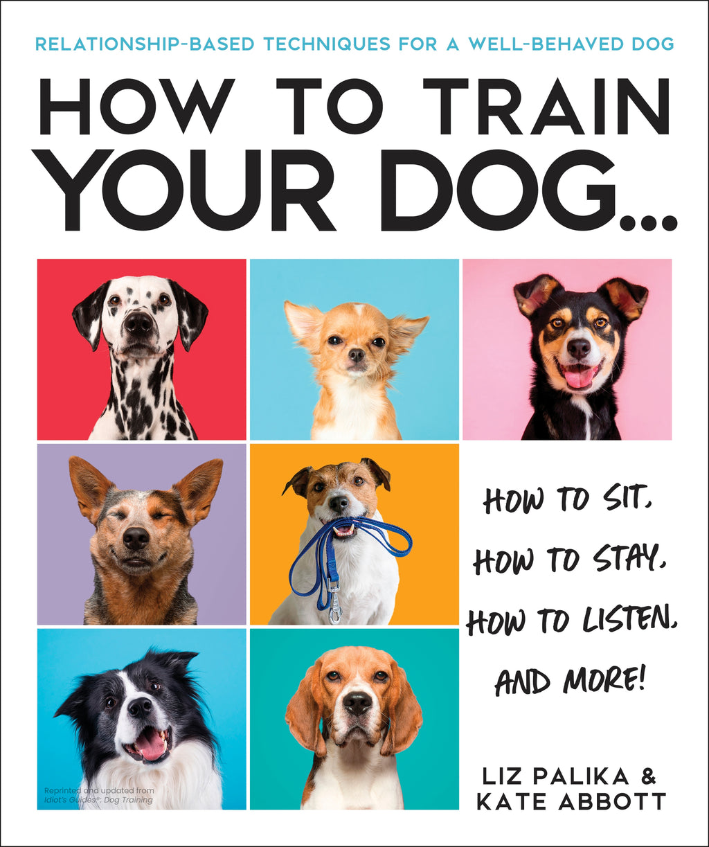 How to Train Your Dog cover