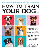 How to Train Your Dog cover