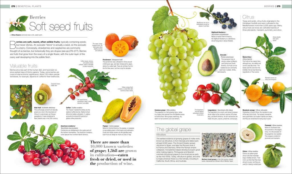 Plants and Fungi-Spread, Image, (PRHC, Design, Do, Not, Use)-5