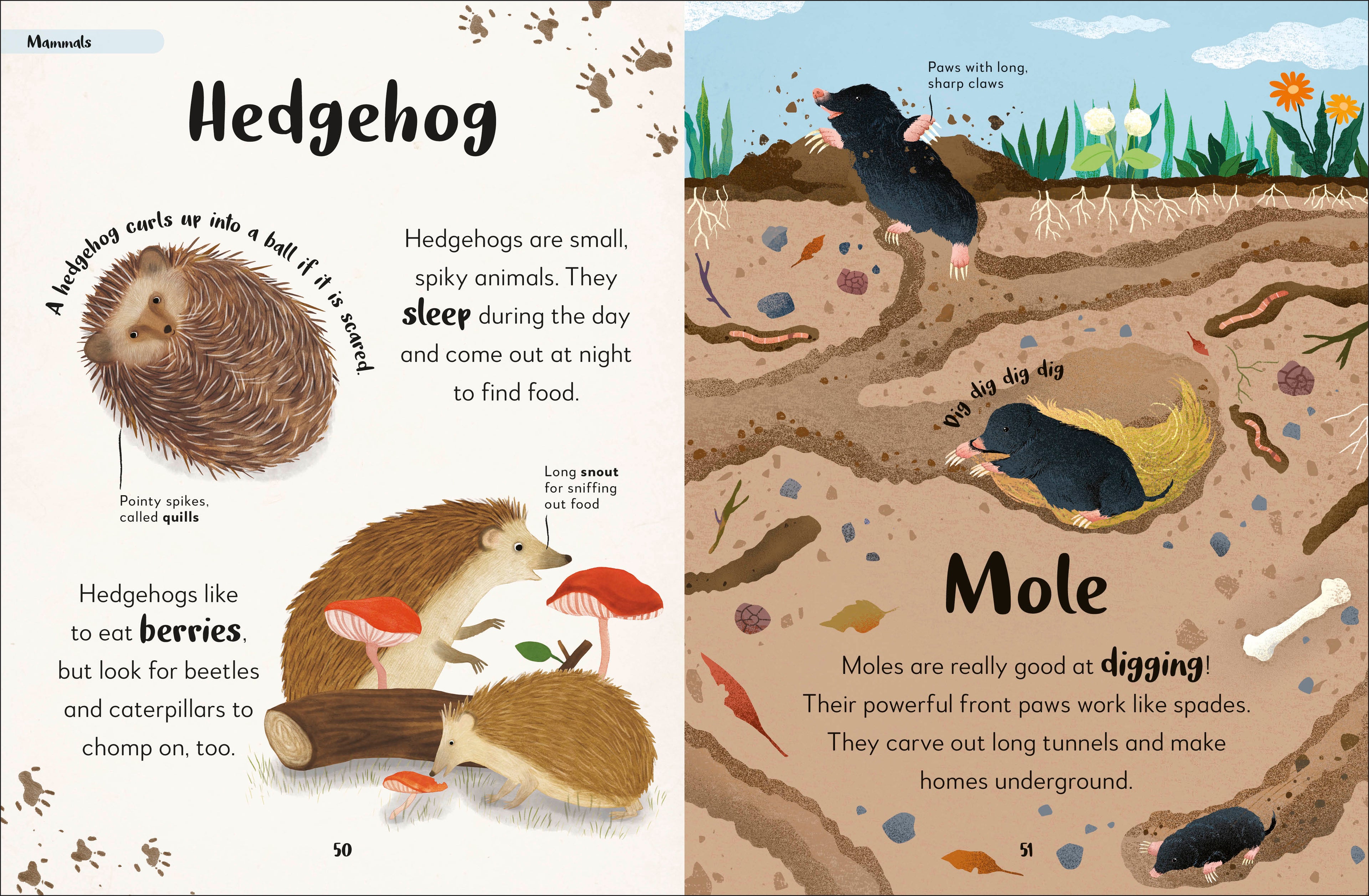 Bedtime Books-Spread, Image, (PRHC, Design, Do, Not, Use)-1