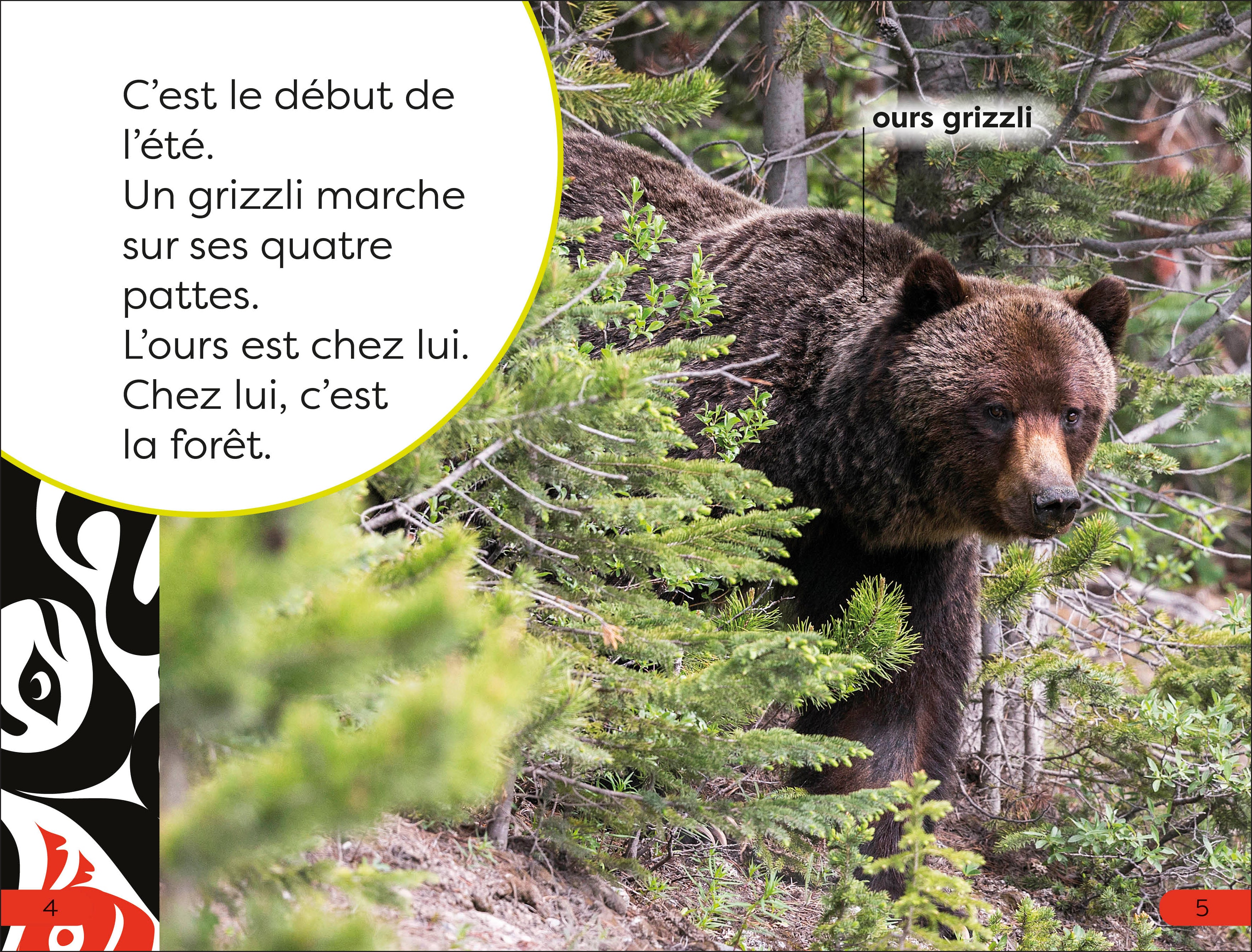 DK Super Readers Pre-level French Translation A Bear's Tale – Une Histoire d’ours