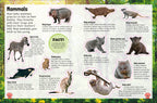Sticker Encyclopedia Baby Animals
