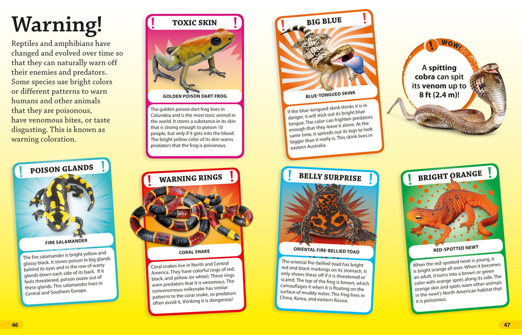 DKfindout! Reptiles and Amphibians