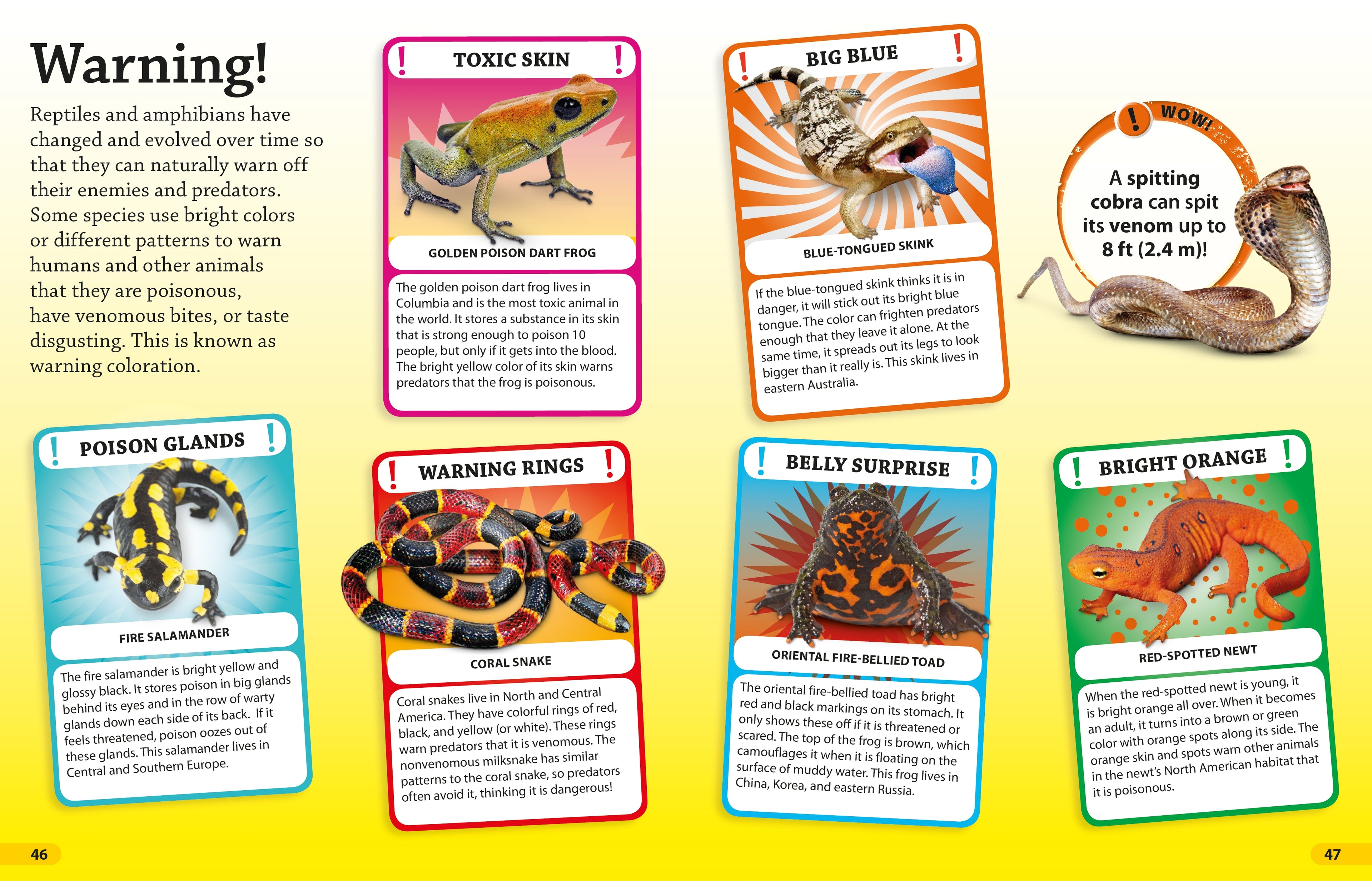 DKfindout! Reptiles and Amphibians