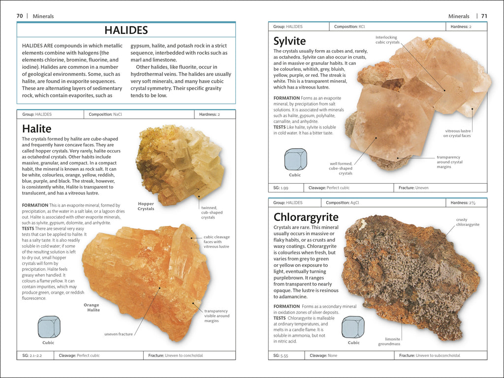 Rocks & Minerals