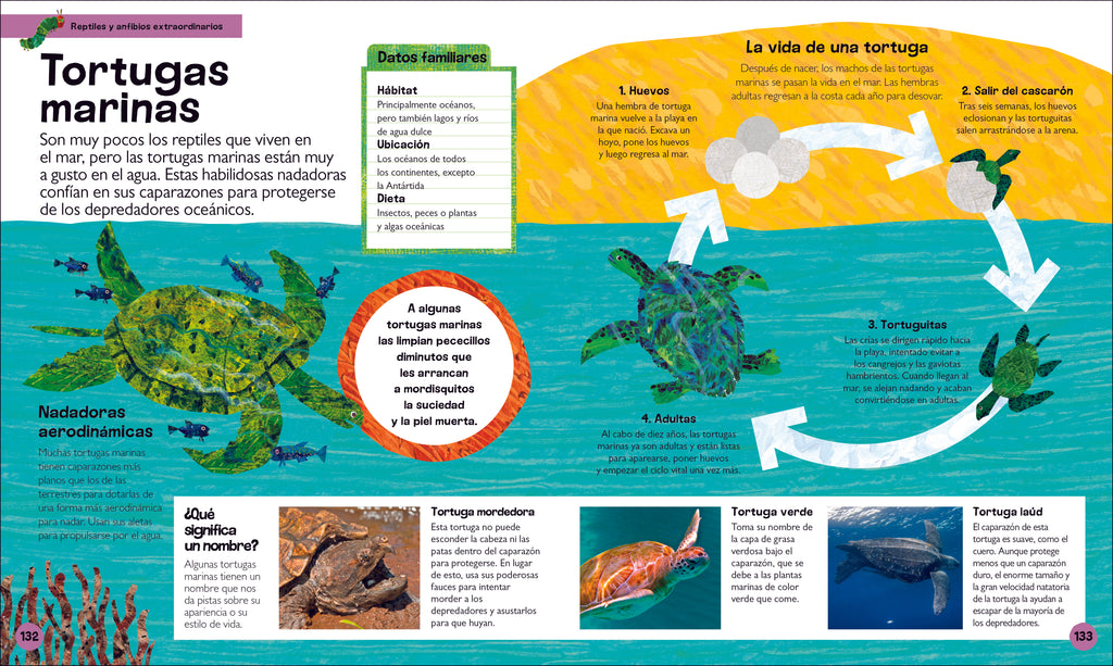 La oruga muy hambrienta Mi primera enciclopedia de animales (The Very Hungry Caterpillar's Very First Animal Encyclopedia)-Spread, Image, (PRHC, Design, Do, Not, Use)-4