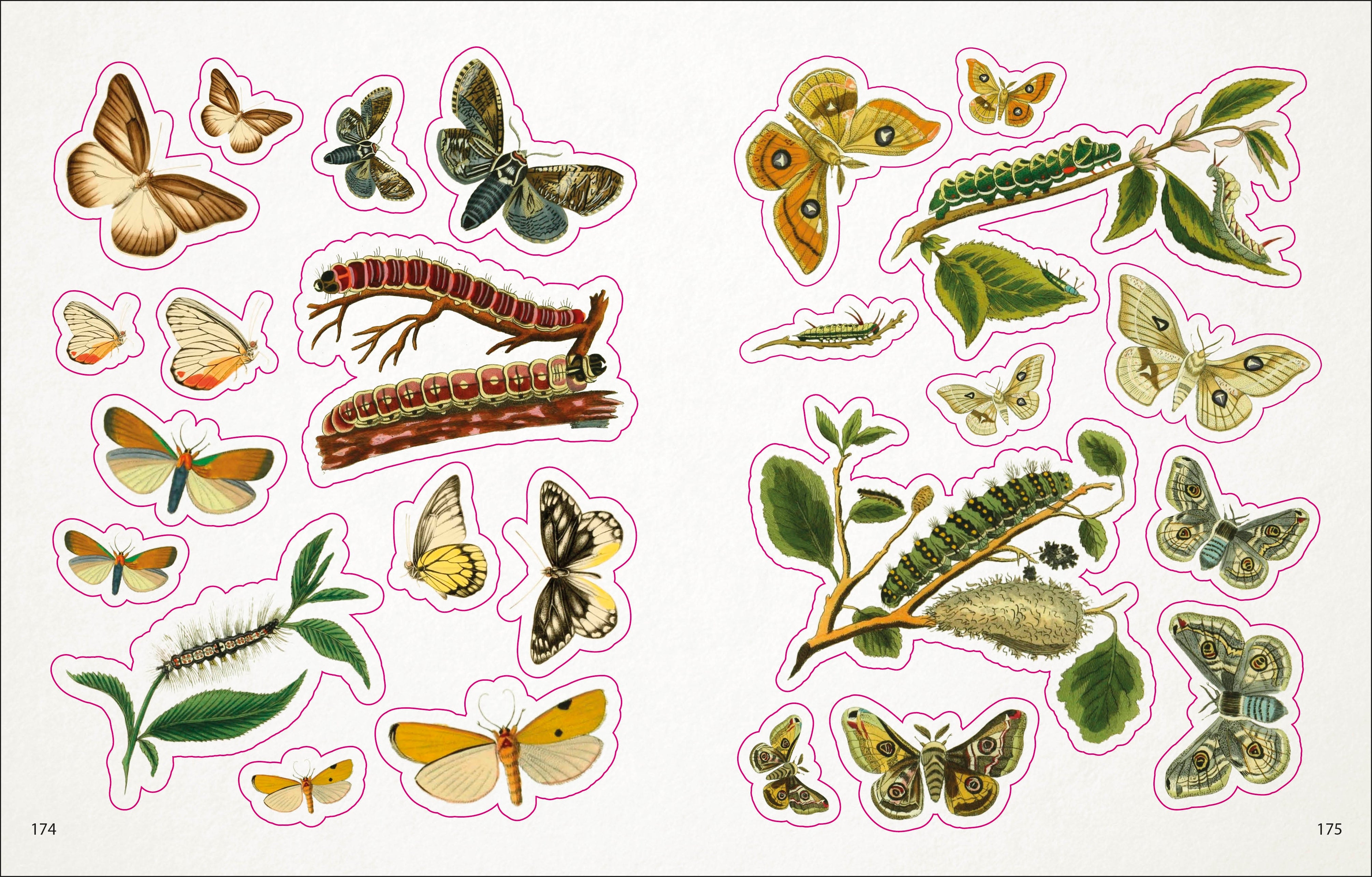 The Bees, Birds & Butterflies Sticker Anthology – DK