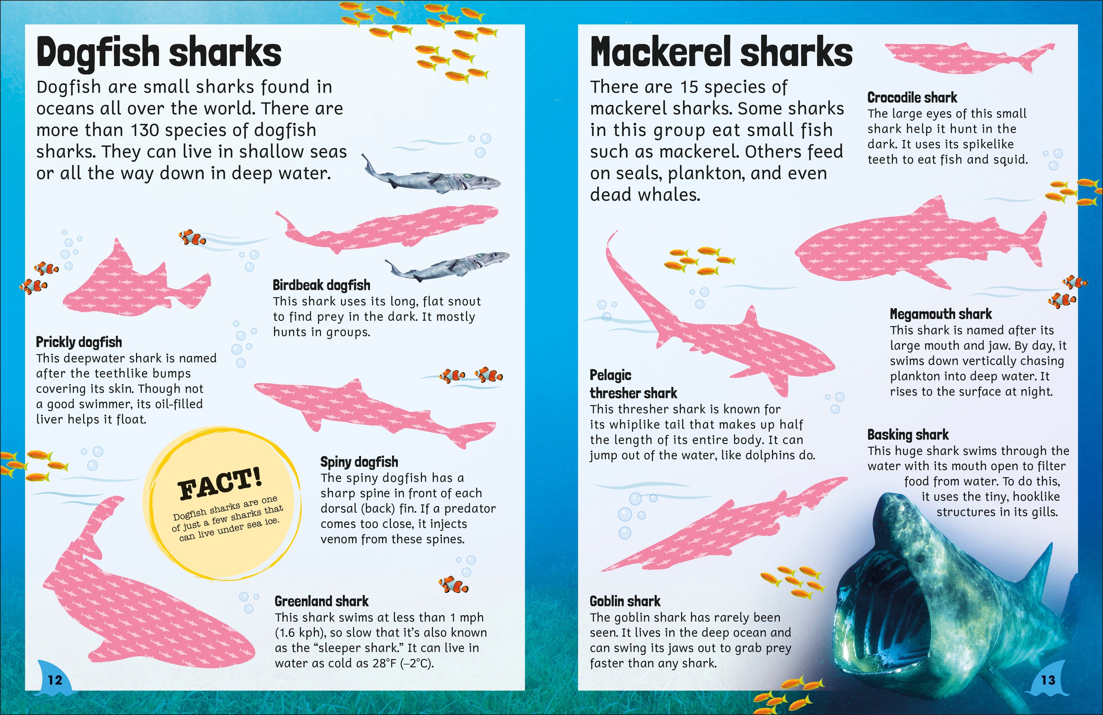 Sticker Encyclopedia Sharks-Spread, Image, (PRHC, Design, Do, Not, Use)-2
