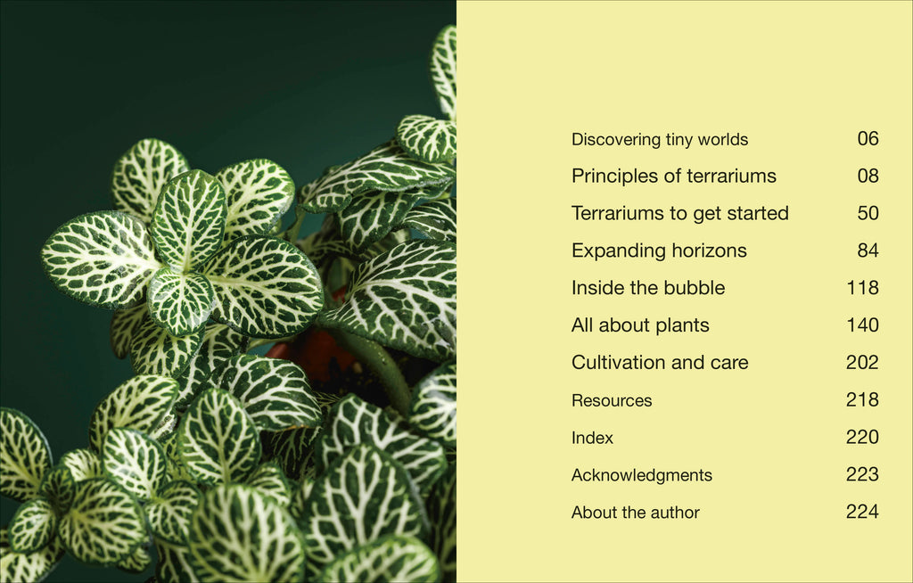 Hello Tiny World-Spread, Image, (PRHC, Design, Do, Not, Use)-1