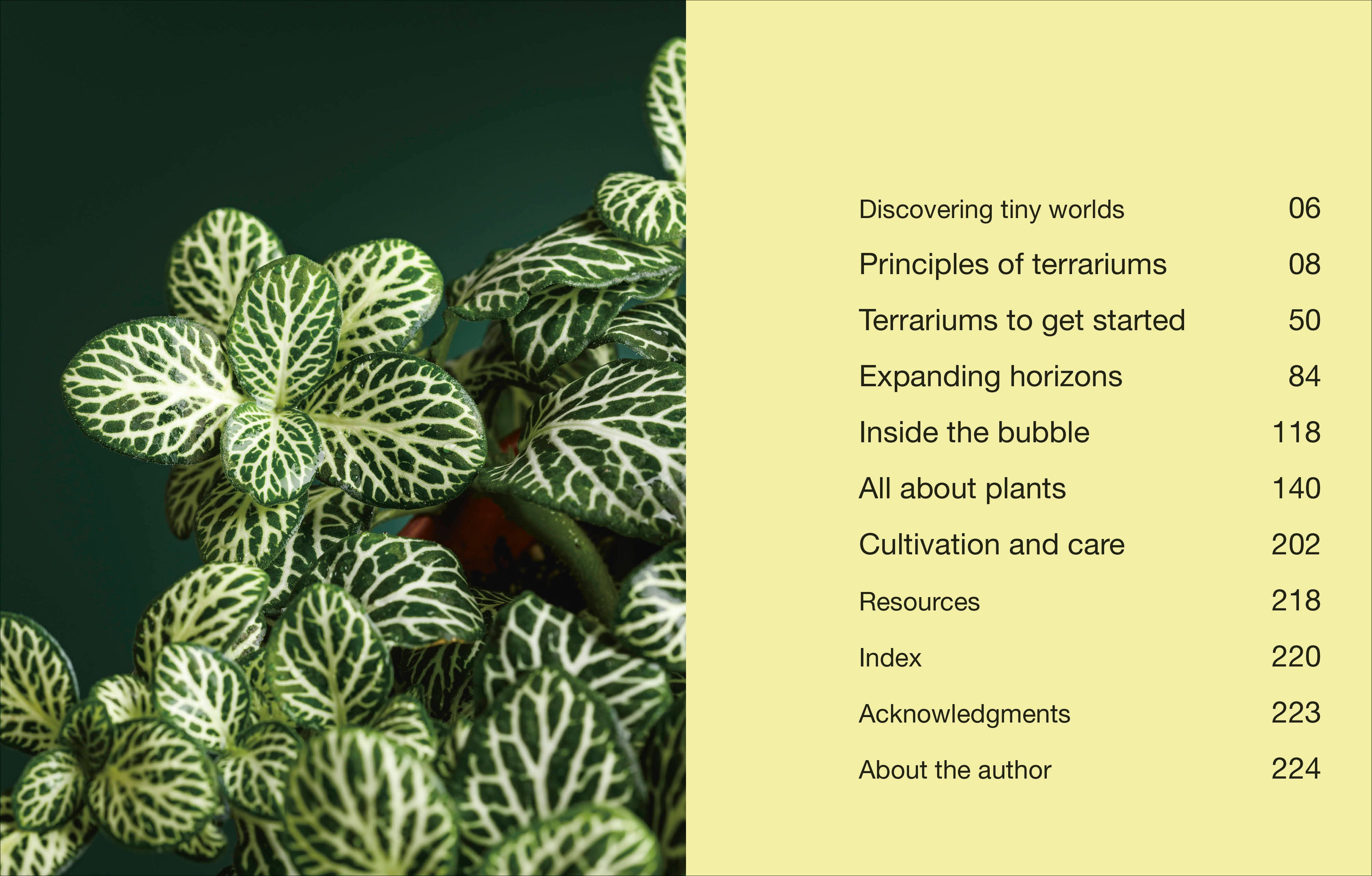 Hello Tiny World-Spread, Image, (PRHC, Design, Do, Not, Use)-1