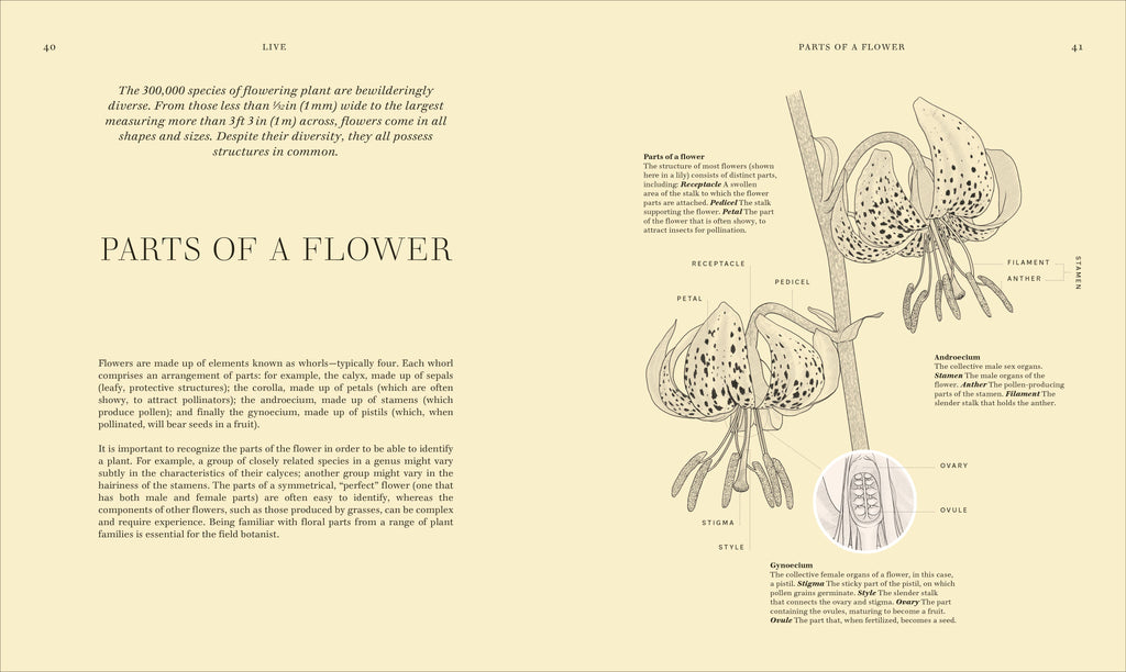 Wildflowers-Spread, Image, (PRHC, Design, Do, Not, Use)-2