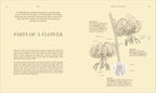 Wildflowers-Spread, Image, (PRHC, Design, Do, Not, Use)-2