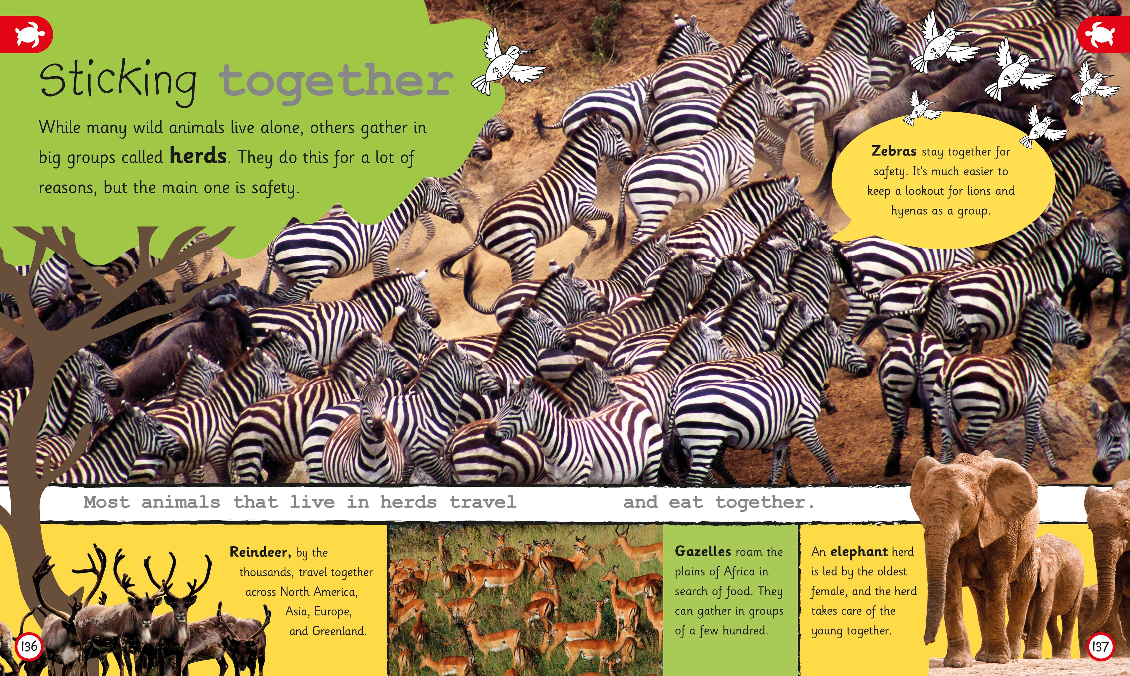 My Encyclopedia of Very Important Animals