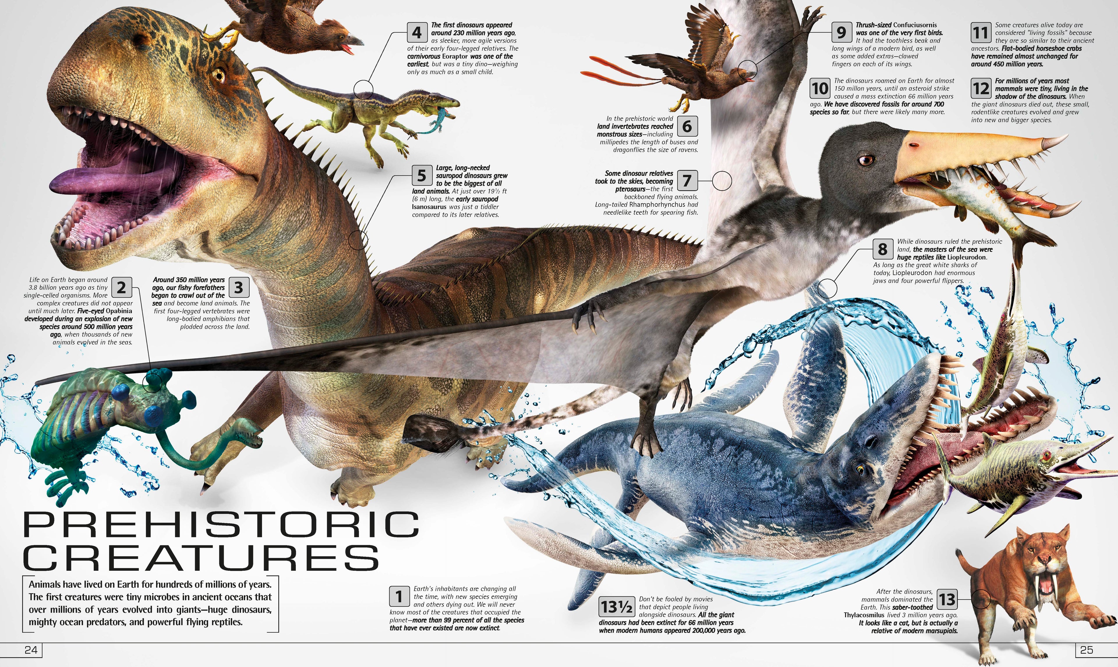 13½ Incredible Things You Need to Know About Everything