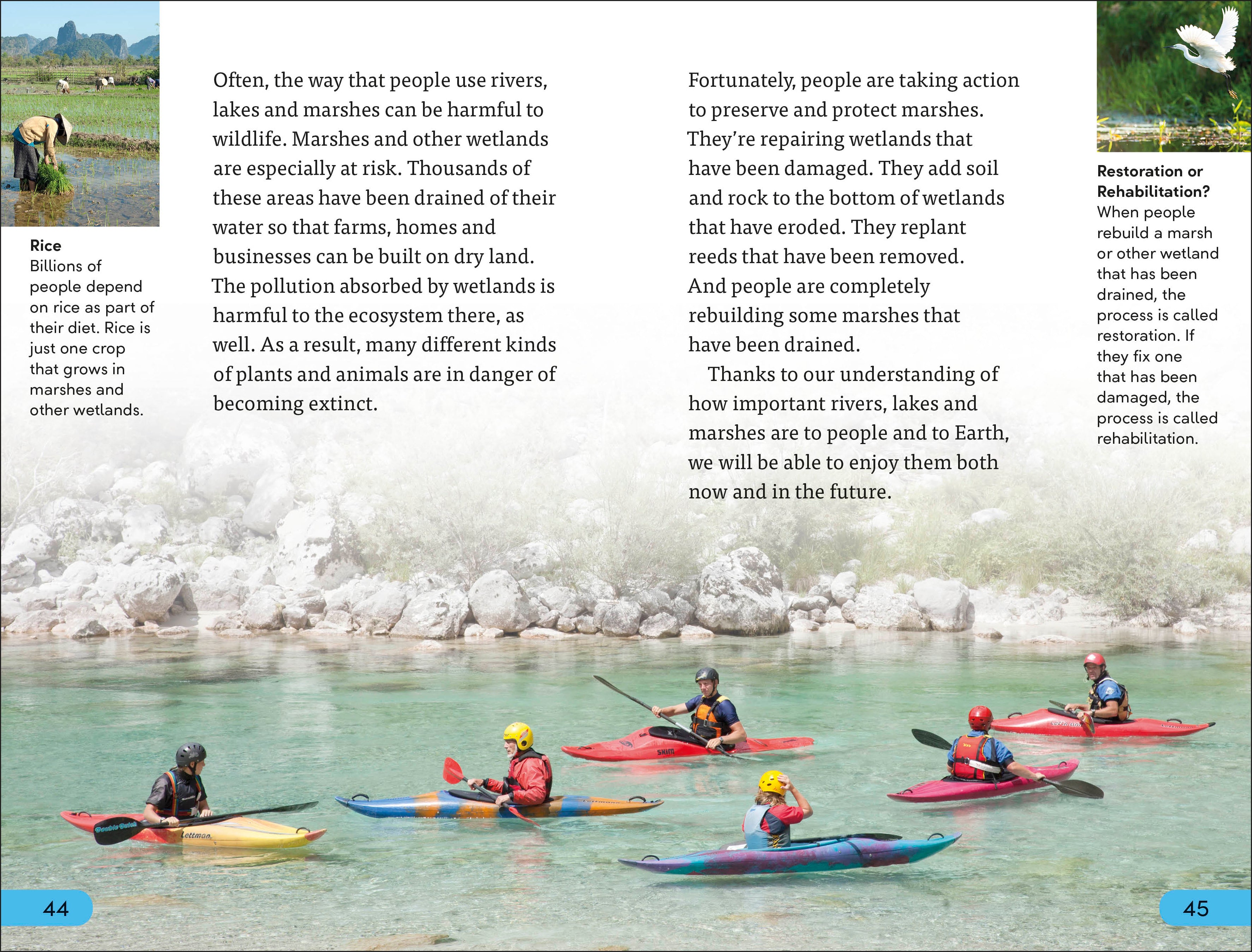 DK Super Readers Level 4 Rivers, Lakes and Marshes