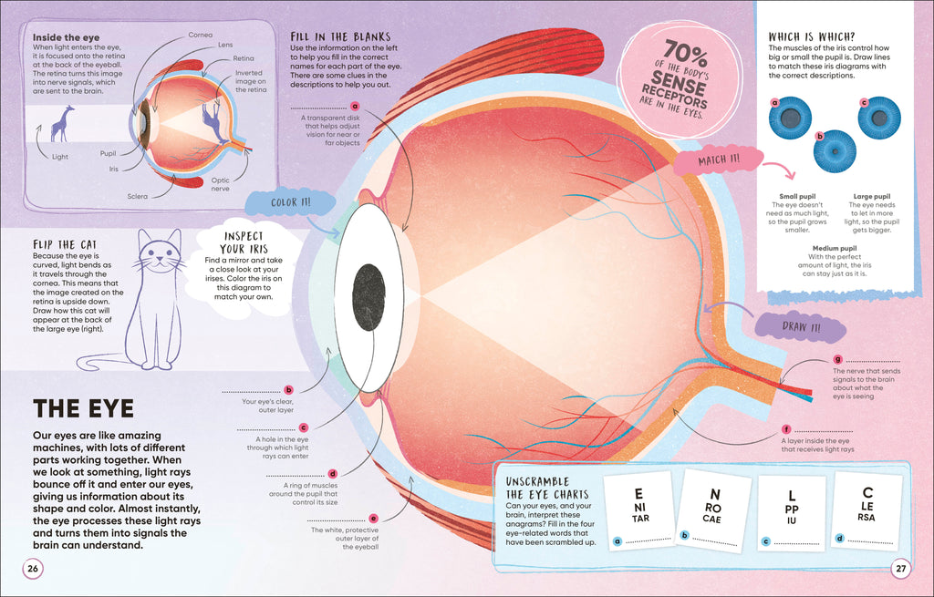 Brain Booster Human Body-Spread, Image, (PRHC, Design, Do, Not, Use)-2