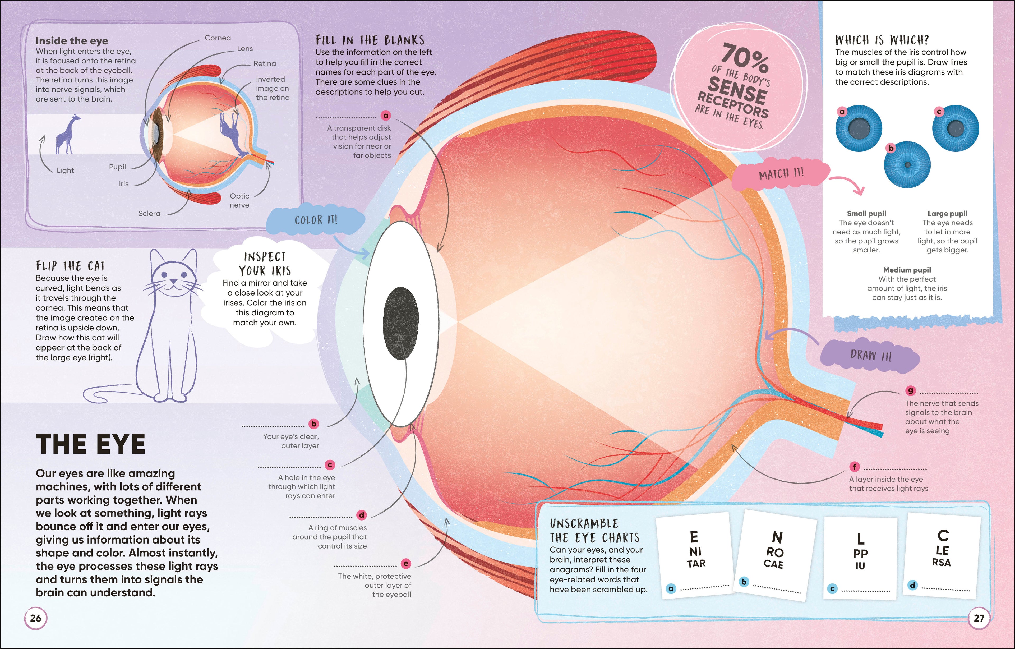 Brain Booster Human Body-Spread, Image, (PRHC, Design, Do, Not, Use)-2