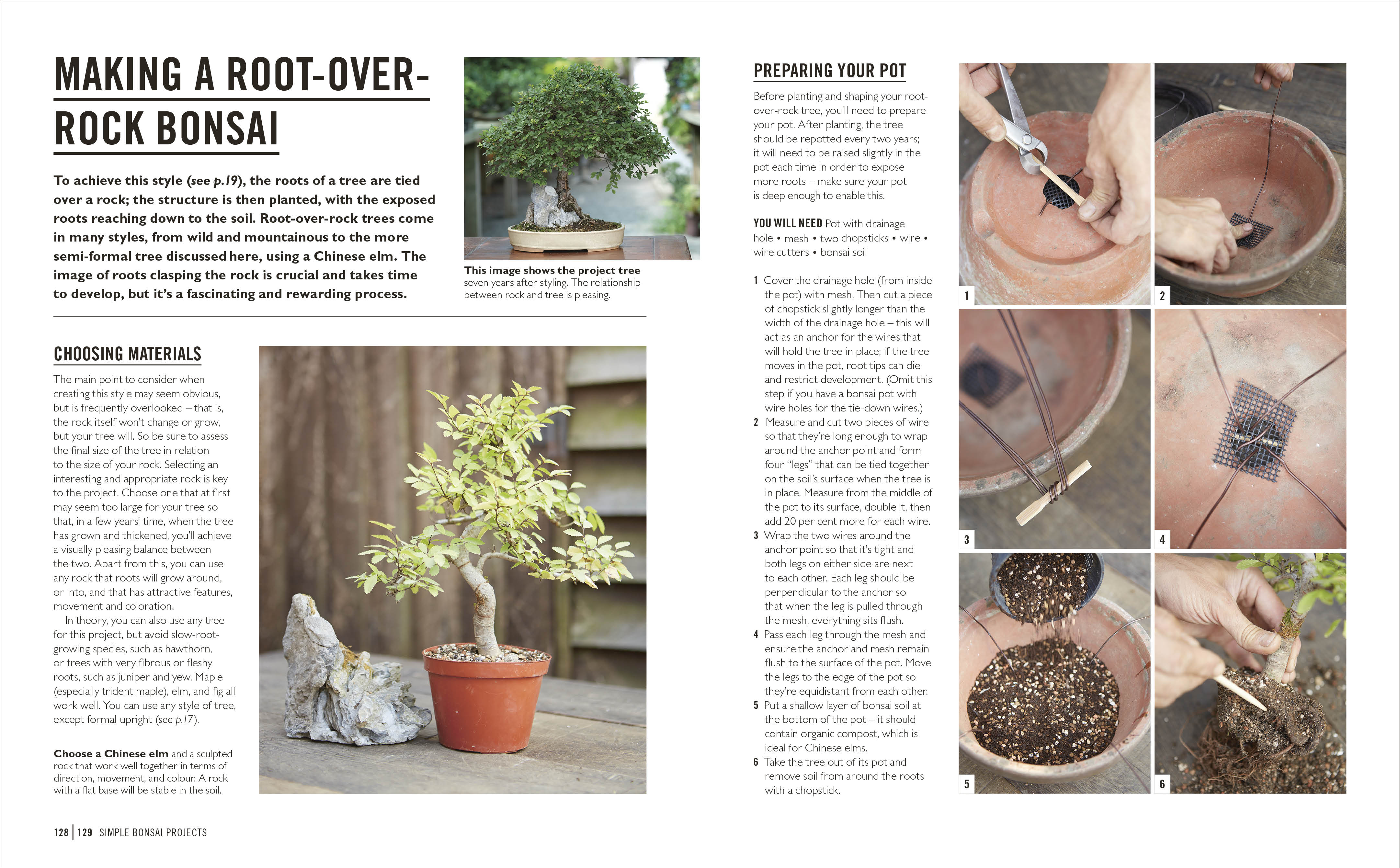 Grow Bonsai – DK