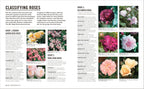 Grow Roses-Spread, Image, (PRHC, Design, Do, Not, Use)-2