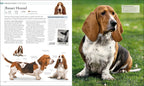 The Dog Encyclopedia