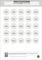 Phonic Books Pet Sitters Activities