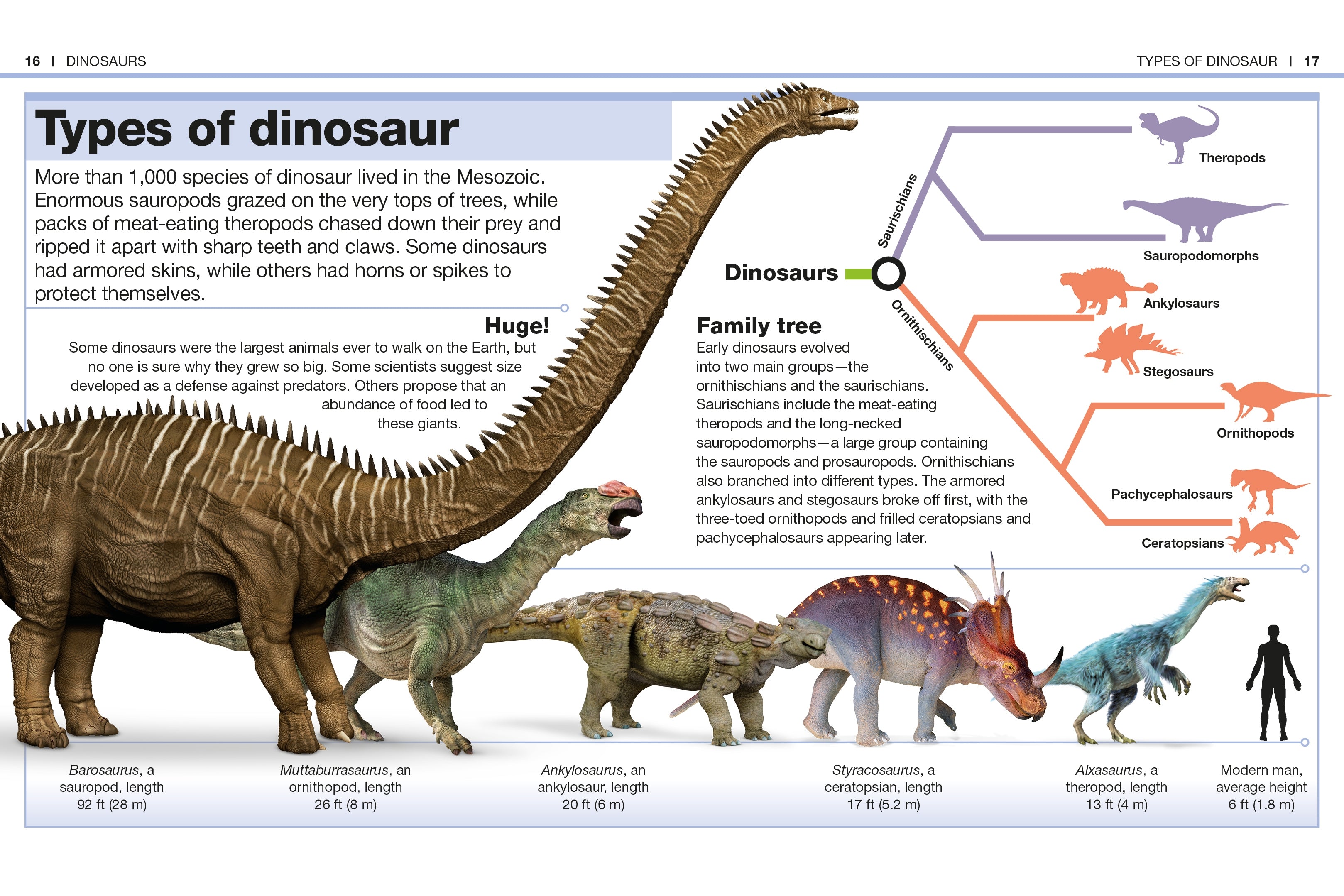 Pocket Genius Dinosaurs – DK