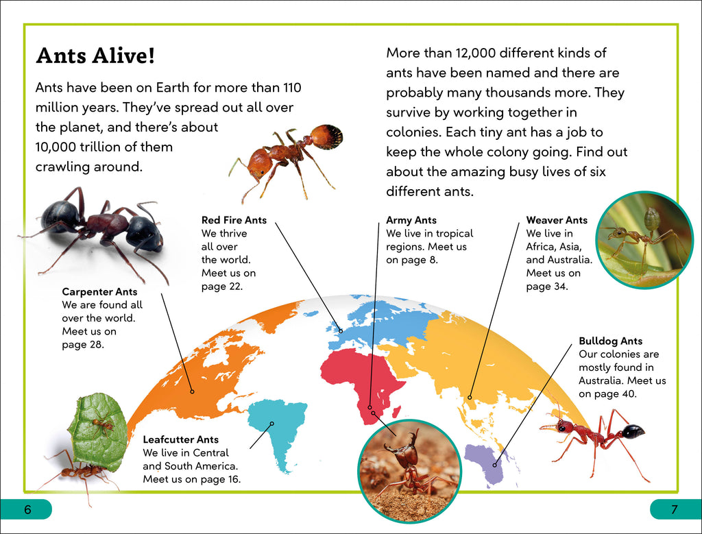 DK Super Readers Level 3 Ant Antics