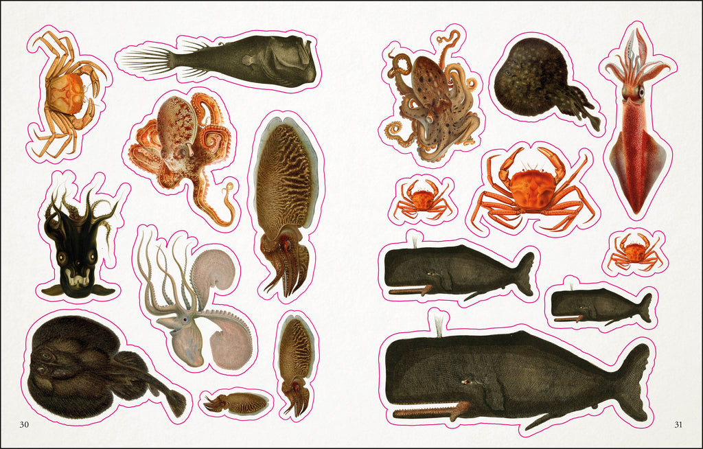The Seashore Sticker Anthology-spread image