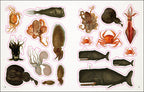 The Seashore Sticker Anthology-spread image