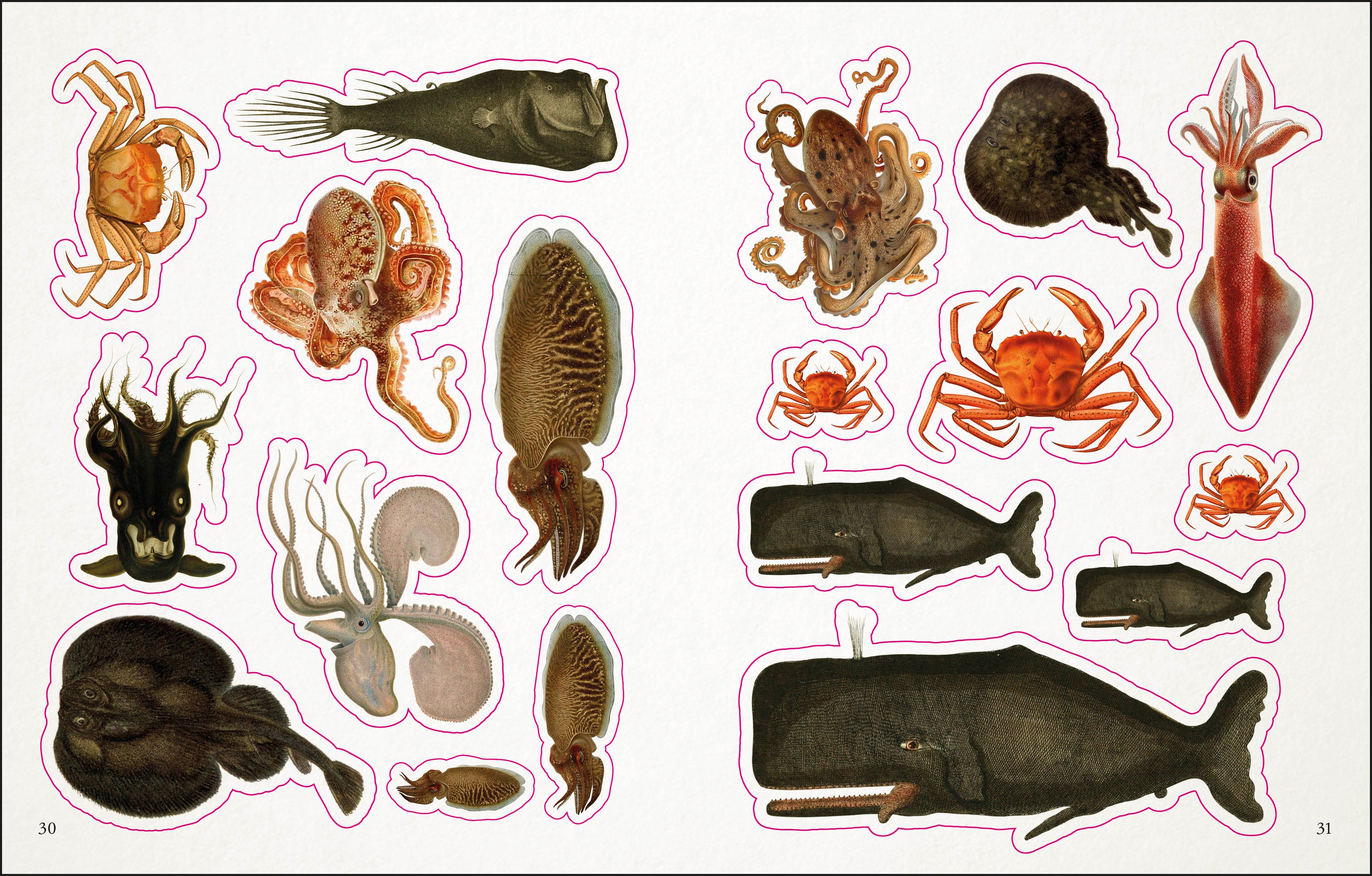 The Seashore Sticker Anthology-spread image