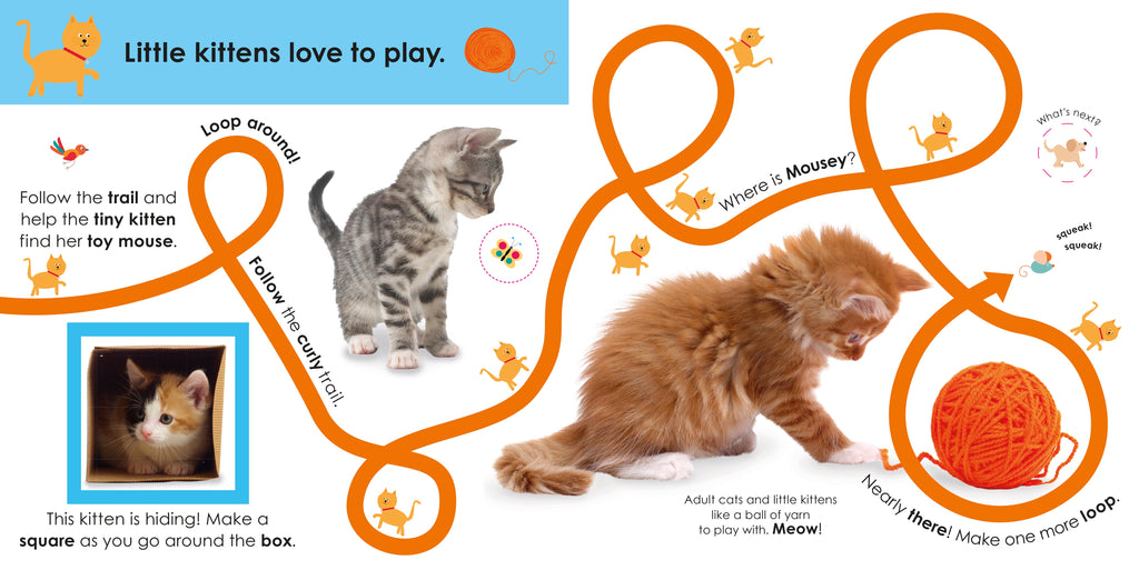 Follow the Trail: Baby Animals