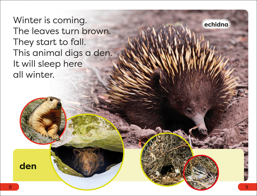 DK Super Readers Pre-Level A Bed For The Winter