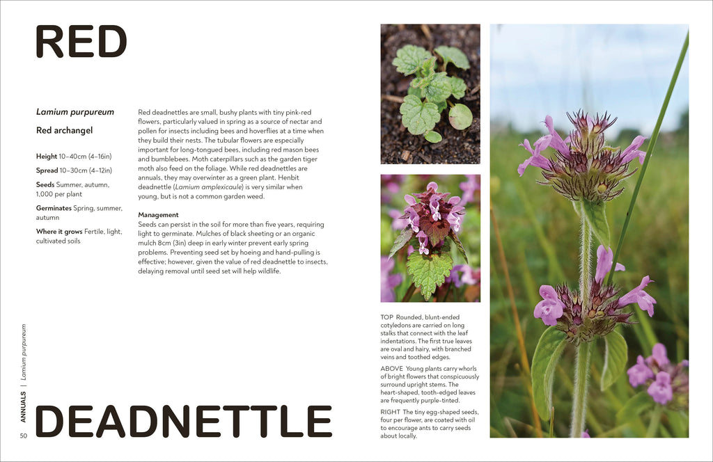 RHS What's That Weed?