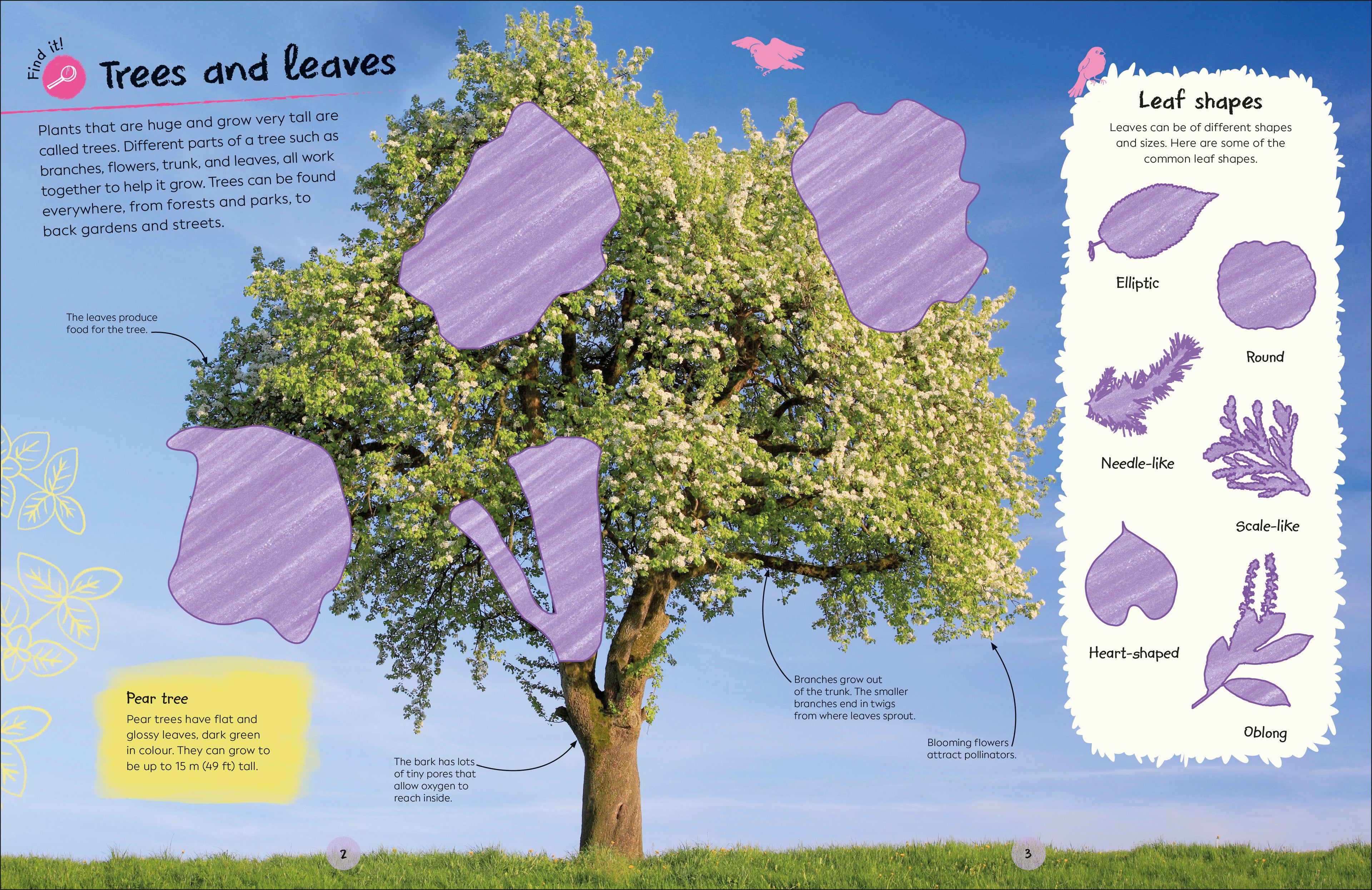 RHS Ultimate Sticker Book Trees and Leaves-Spread, Image, (PRHC, Design, Do, Not, Use)-2