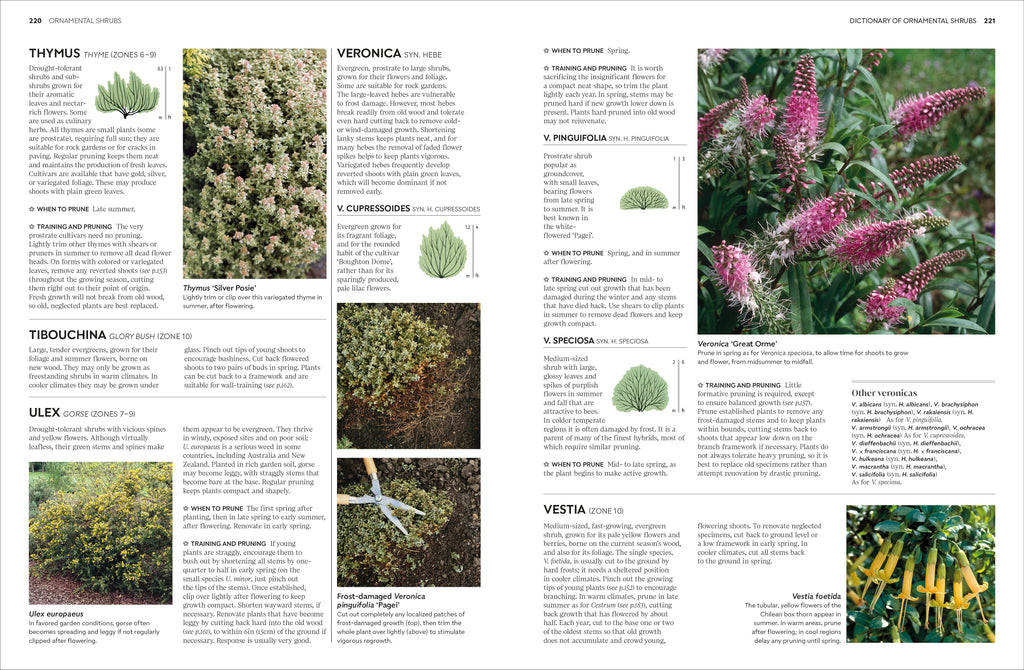 Pruning and Training-Spread, Image, (PRHC, Design, Do, Not, Use)-6