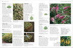 Pruning and Training-Spread, Image, (PRHC, Design, Do, Not, Use)-6