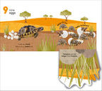 Flip, Flap, Find! Counting 1, 2, 3