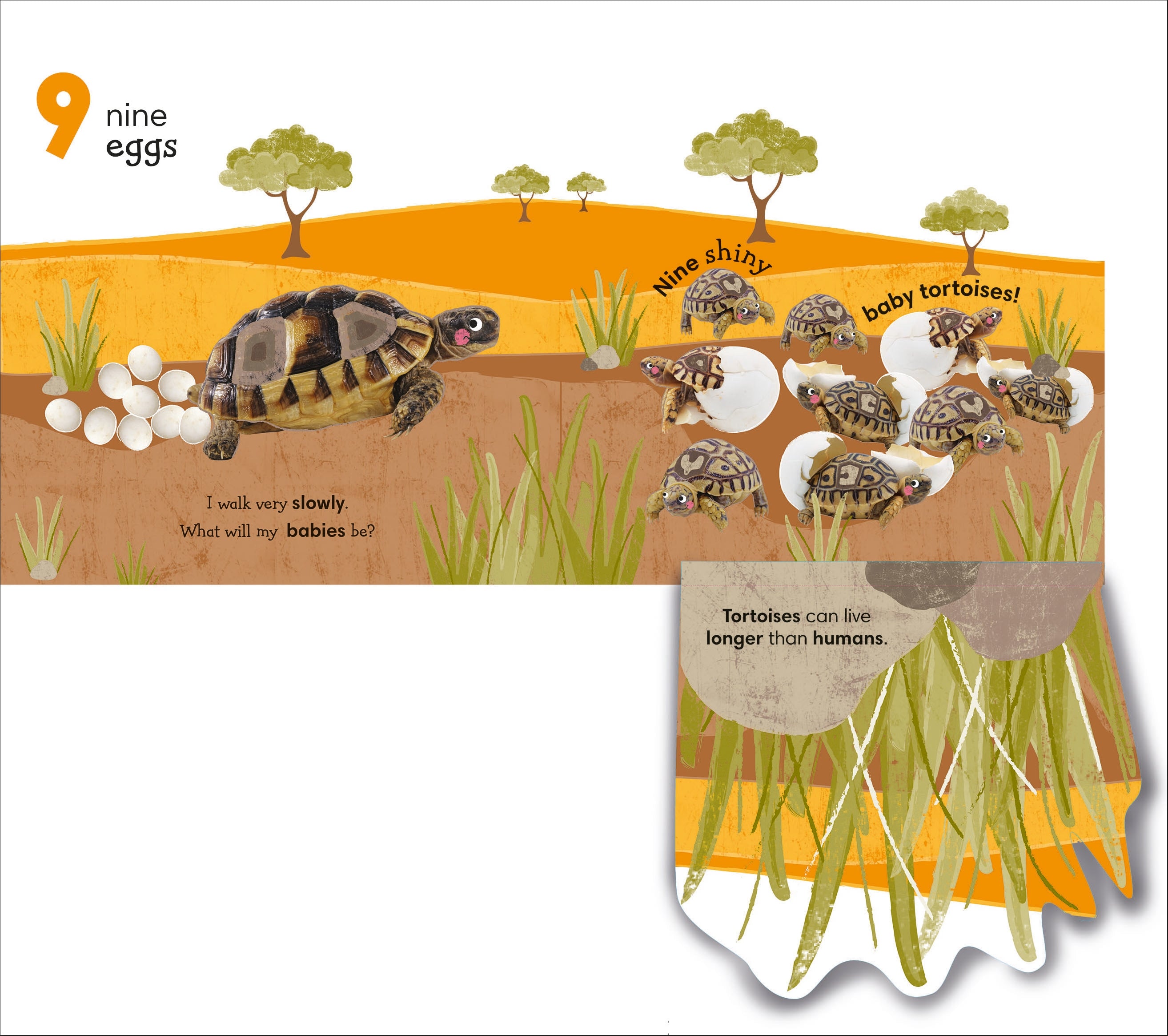 Flip, Flap, Find! Counting 1, 2, 3