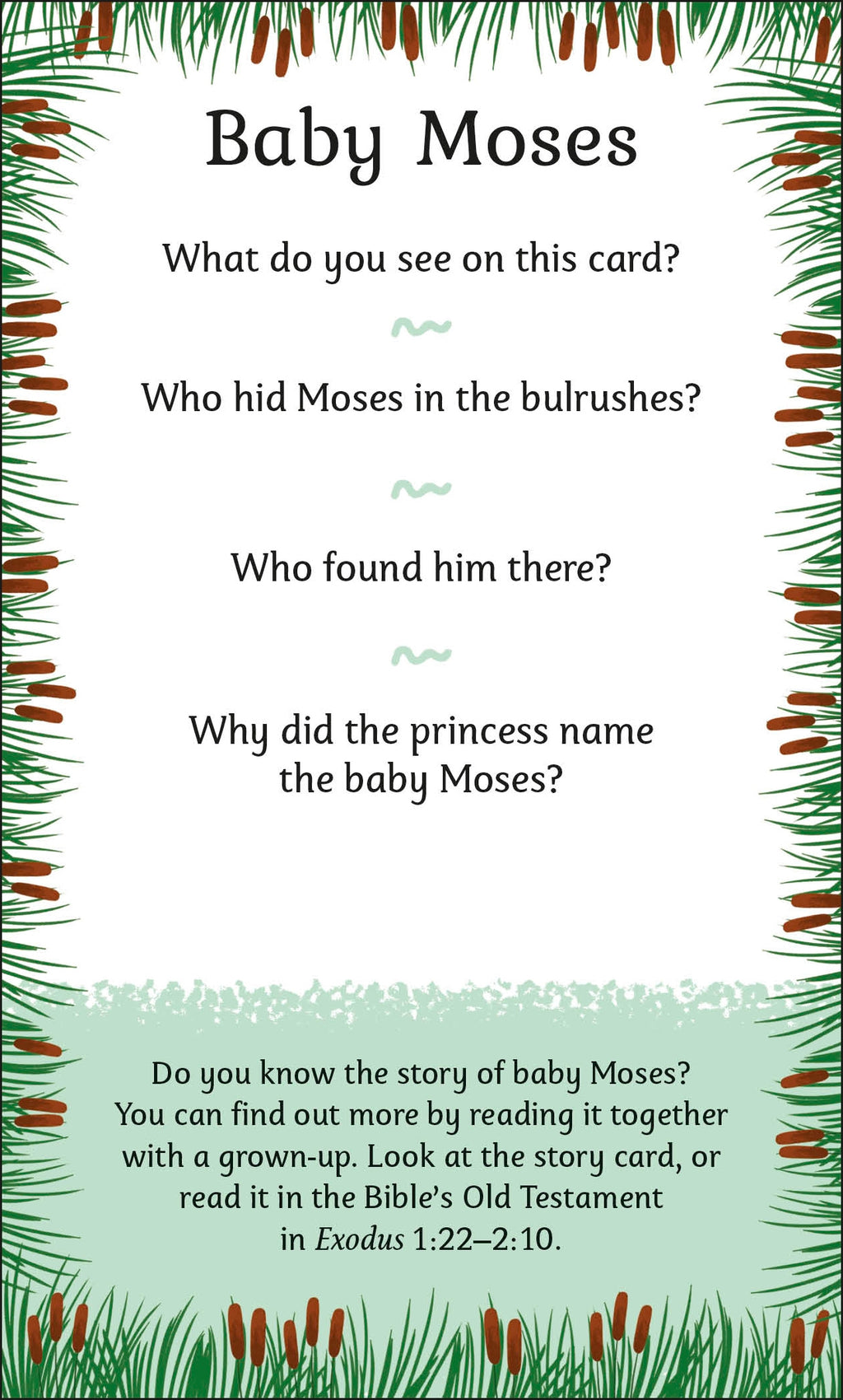 My First Bible Picture Cards