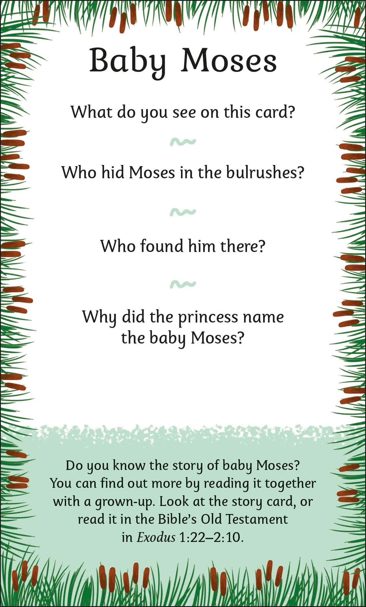 My First Bible Picture Cards