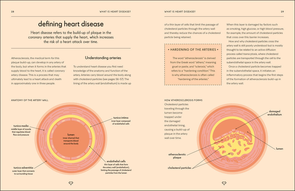Heart-Spread, Image, (PRHC, Design, Do, Not, Use)-3
