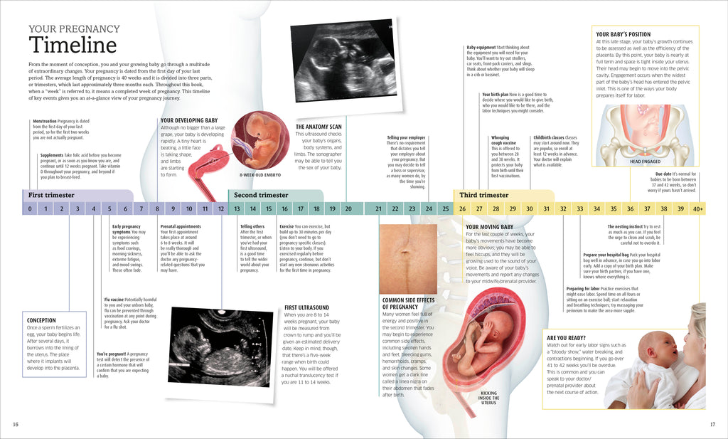 The Pregnancy Encyclopedia