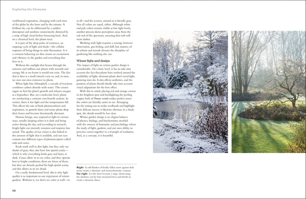 The Winter Garden-image